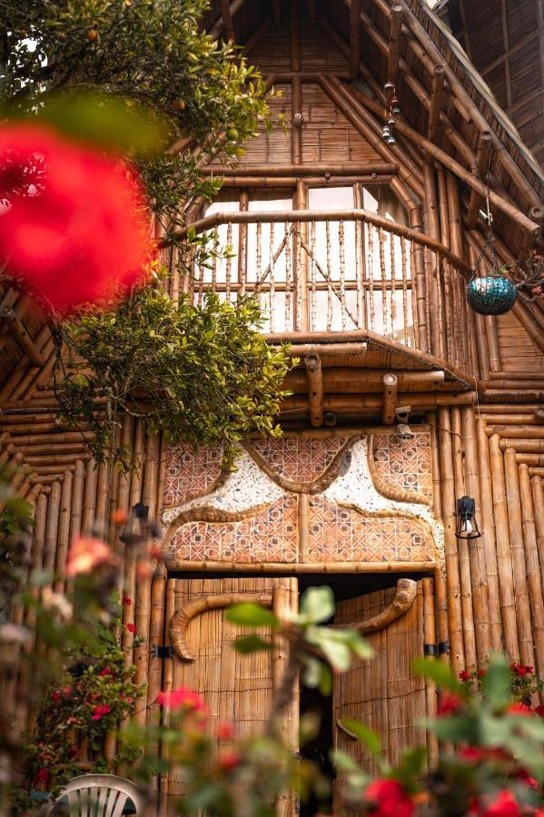 Chalet Ecoturismo La Nohelia Jericoc  Exterior photo
