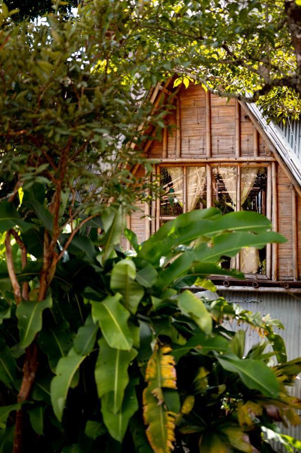 Chalet Ecoturismo La Nohelia Jericoc  Exterior photo
