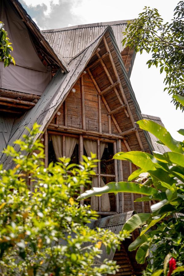 Chalet Ecoturismo La Nohelia Jericoc  Exterior photo